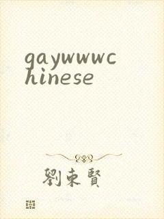 gaywwwchinese