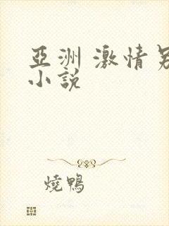 亚洲 激情另类小说