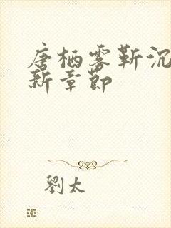 唐栖雾靳沉野最新章节