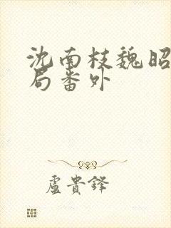 沈南枝魏昭大结局番外