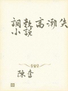 调教高潮失禁h小说