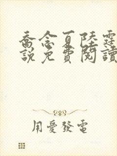 乔念夏陆霆燚小说免费阅读