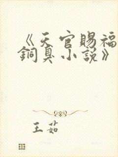 《天官赐福墨香铜臭小说》封面