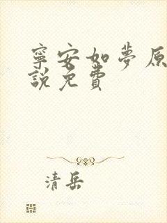 宁安如梦原著小说免费