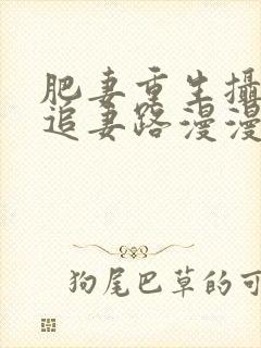 肥妻重生摄政王追妻路漫漫小说