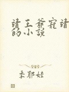 靖王爷宠靖王妃的小说封面