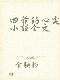 四爷的心尖宠妃小说全文封面