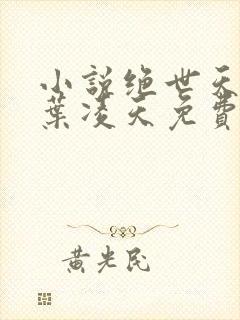 小说绝世天骄·叶凌天免费全文阅读