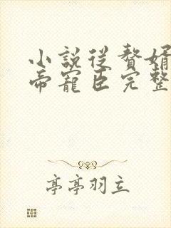 小说从赘婿到女帝宠臣完整版未删减小说