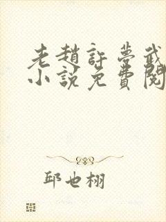 老赵许梦武娟的小说免费阅读封面