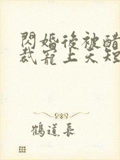 闪婚后被醋王总裁宠上天短剧免费观看