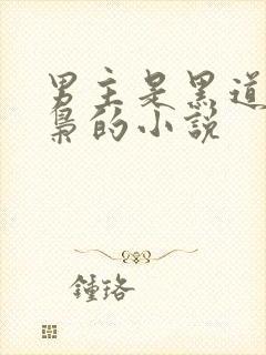 男主是黑道或毒枭的小说封面