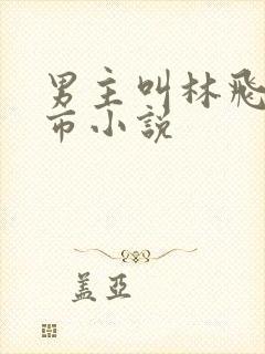 男主叫林飞的都市小说
