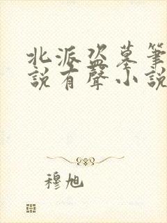 北派盗墓笔记小说有声小说免费