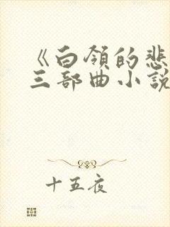 《白领的悲哀》三部曲小说下载