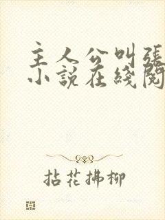 主人公叫张晨的小说在线阅读封面