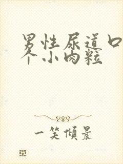 男性尿道口内有个小肉粒