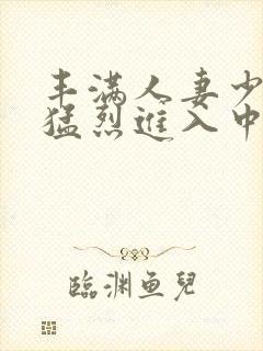 丰满人妻少妇被猛烈进入中文字幕