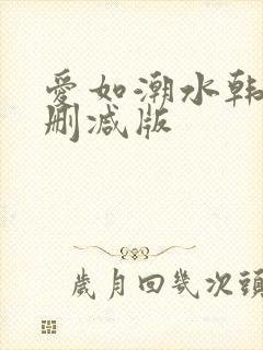 爱如潮水韩国未删减版封面