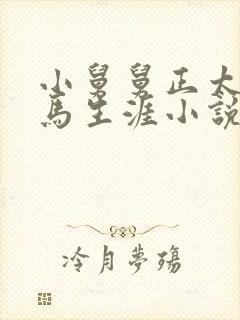 小舅舅正太的种马生涯小说改编自什么小说