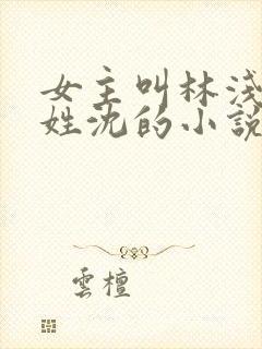 女主叫林浅男主姓沈的小说