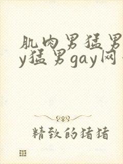 肌肉男猛男gay猛男gay网站