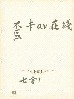不卡av在线二区