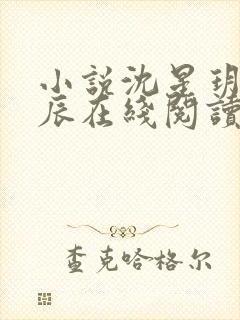 小说沈星玥裴亦辰在线阅读