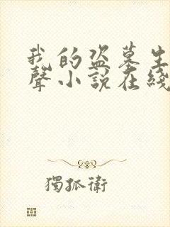 我的盗墓生涯有声小说在线收听