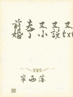 前夫又又又想复婚了小说txt