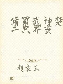 修罗武神楚枫第二只界灵