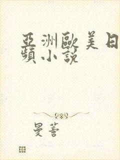 亚洲欧美日韩视频小说