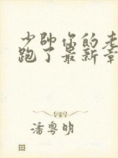 少帅你的老婆又跑了最新章节免费阅读