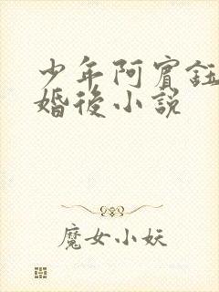 少年阿宾钰慧的婚后小说封面