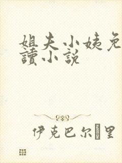 姐夫小姨免费阅读小说