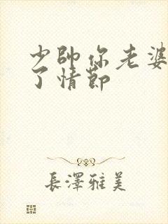 少帅你老婆又跑了情节