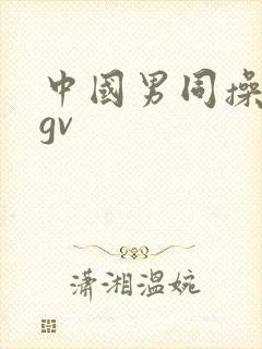 中国男同操亚洲gv