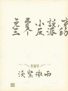 免费小说,穿成三个反派的恶毒后娘