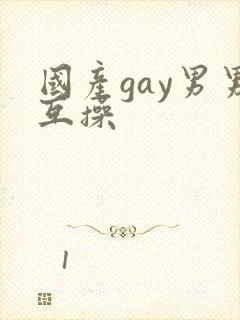 国产gay男男互操封面