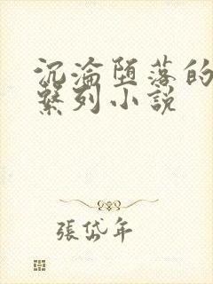 沉沦堕落的娇妻系列小说封面