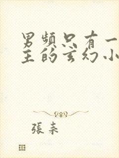 男频只有一个女主的玄幻小说封面