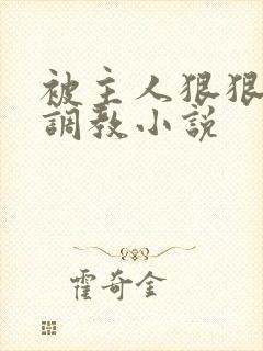 被主人狠狠惩罚调教小说