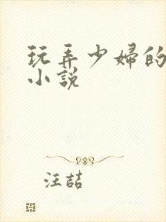 玩弄少妇的悲哀小说