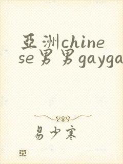 亚洲chinese男男gaygay网站