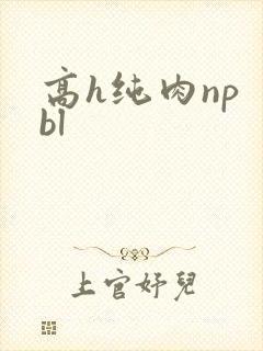 高h纯肉np bl封面