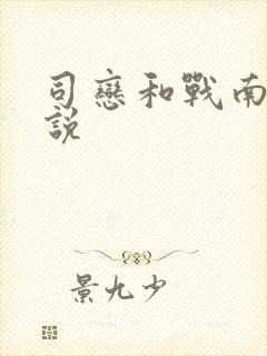 司恋和战南夜小说封面