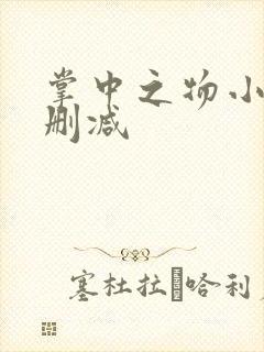 掌中之物小说无删减