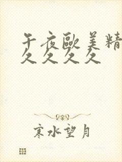 午夜欧美精品久久久久久封面