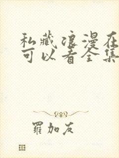 私藏浪漫在哪里可以看全集电视剧