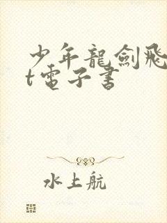 少年龙剑飞txt电子书封面